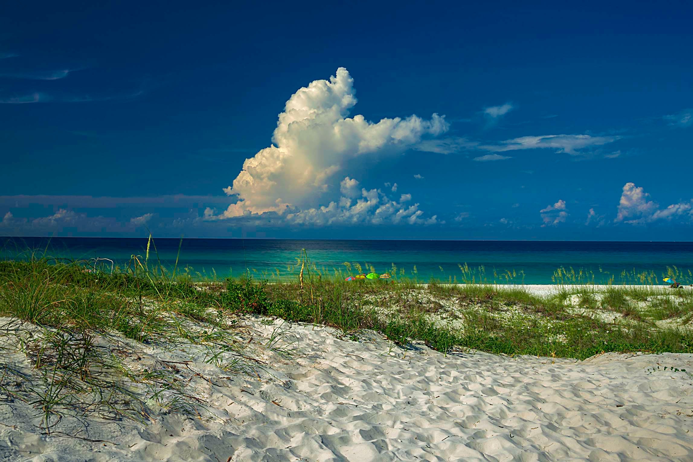 White sand dunes and sea oats at Panama City Beach under a brilliant deep blue sky with a towering cumulus cloud building over the emerald Gulf