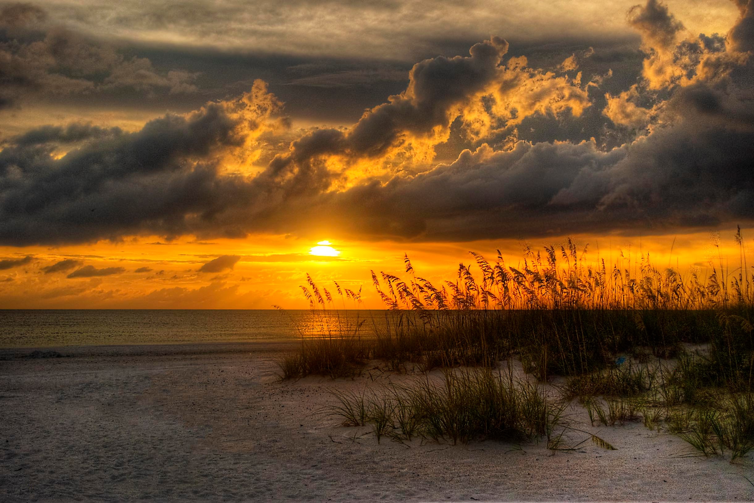 Sea oats and dune grass silhouetted against a dramatic orange and purple Gulf sunset
