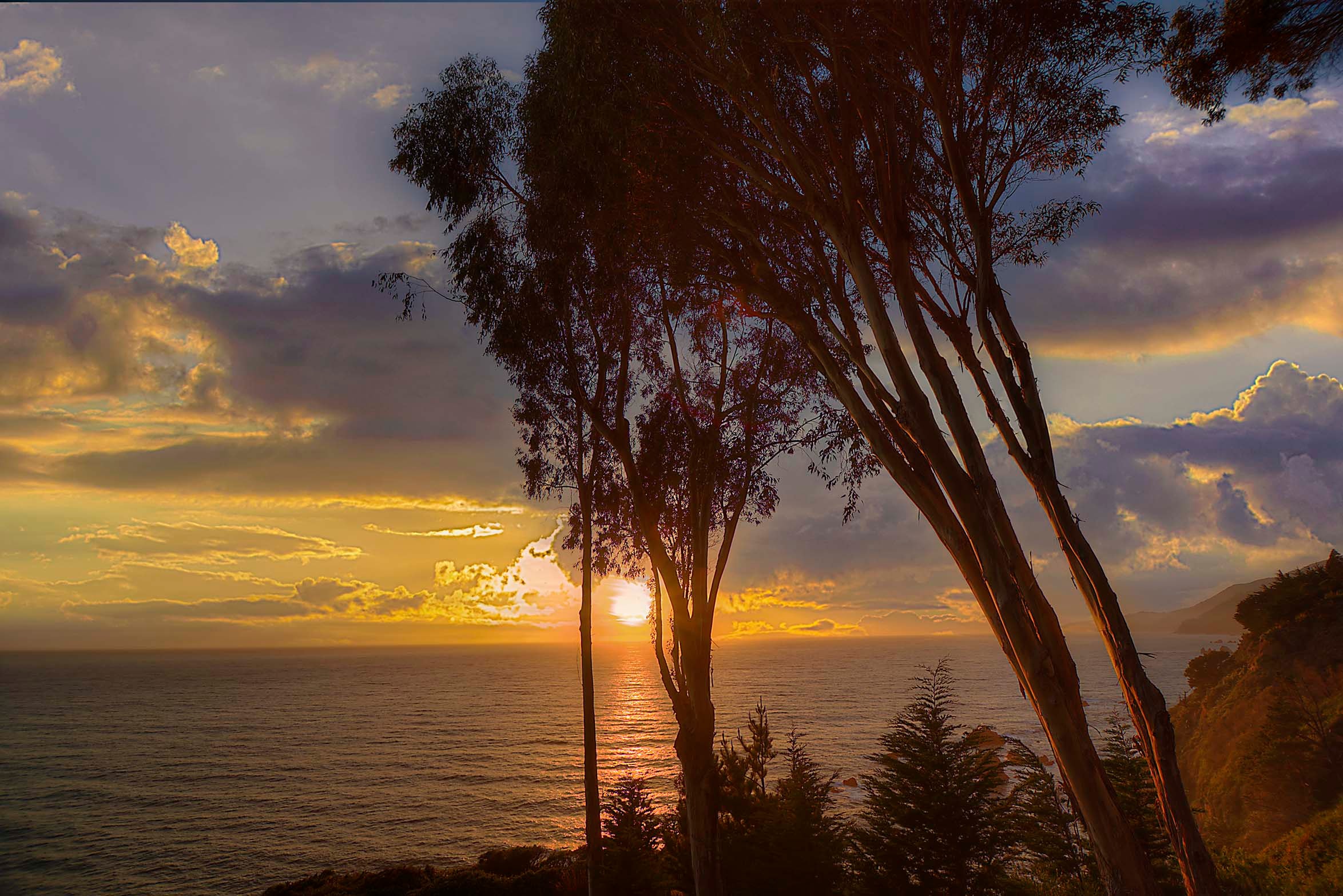 Tall eucalyptus trees silhouetted against a golden Pacific sunset at Big Sur, the sun sinking into the ocean between the trunks