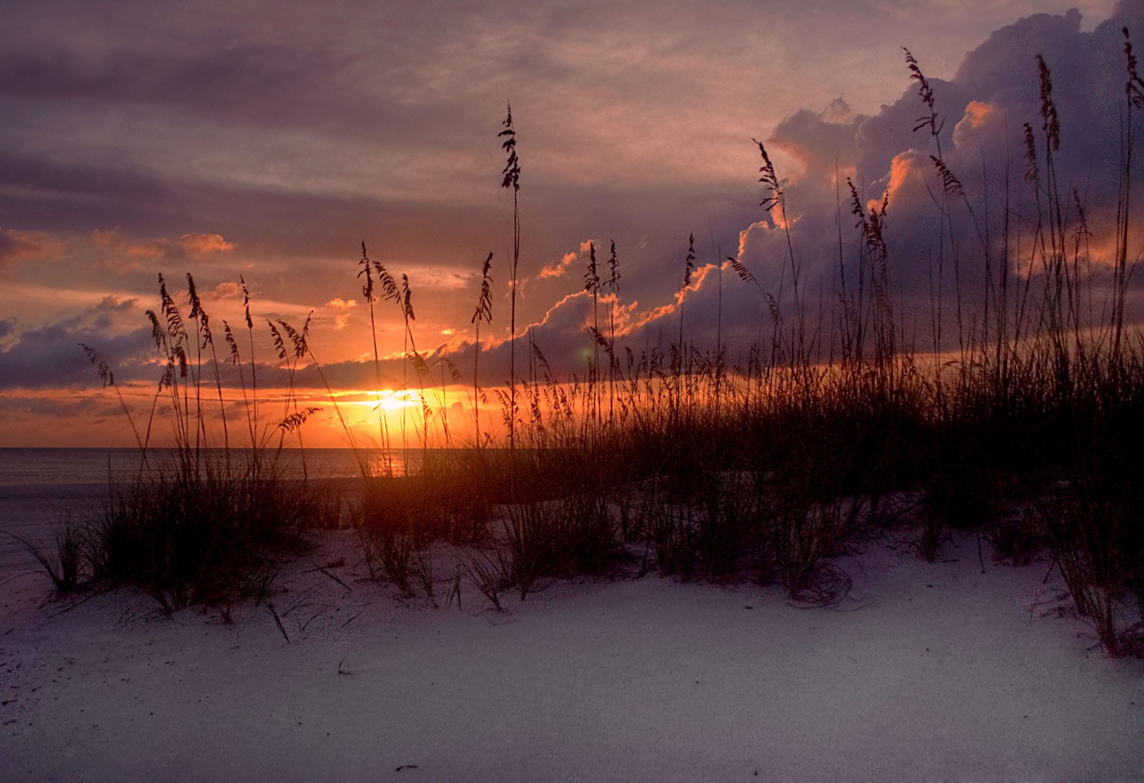 Sea oats silhouetted against a fiery orange and purple sunset sky over Treasure Island