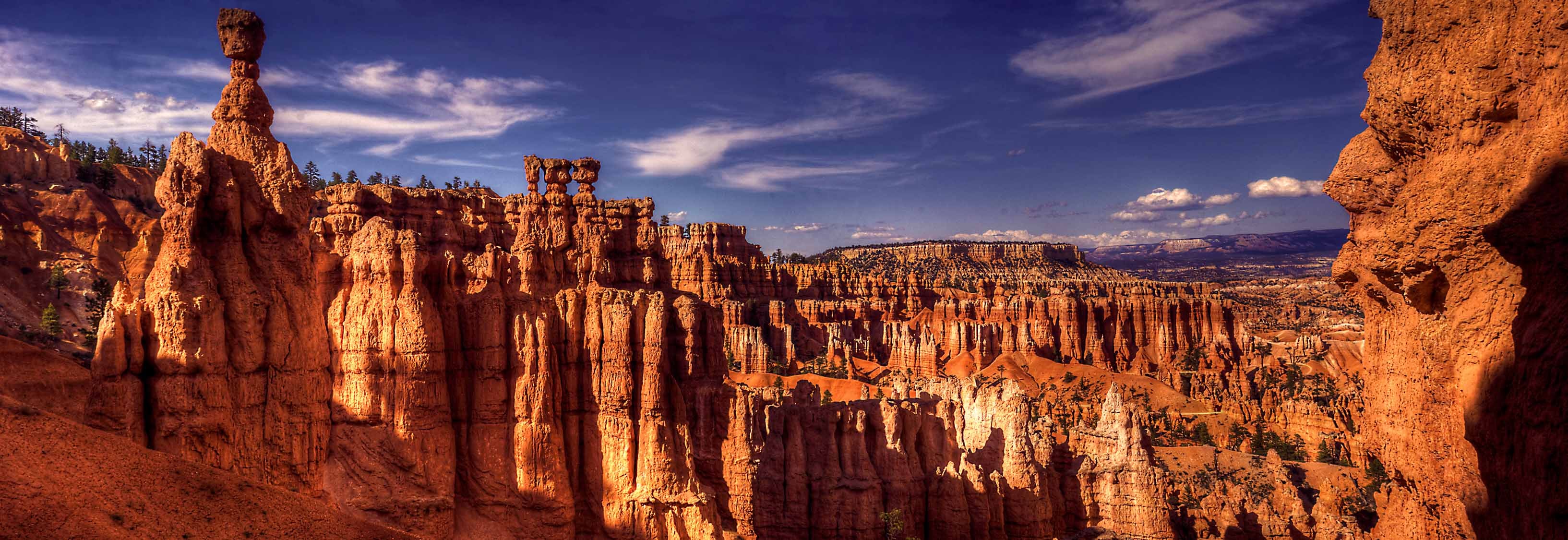 Bryce Canyon hoodoos rising in a forest of orange and white spires beneath a deep blue Utah sky
