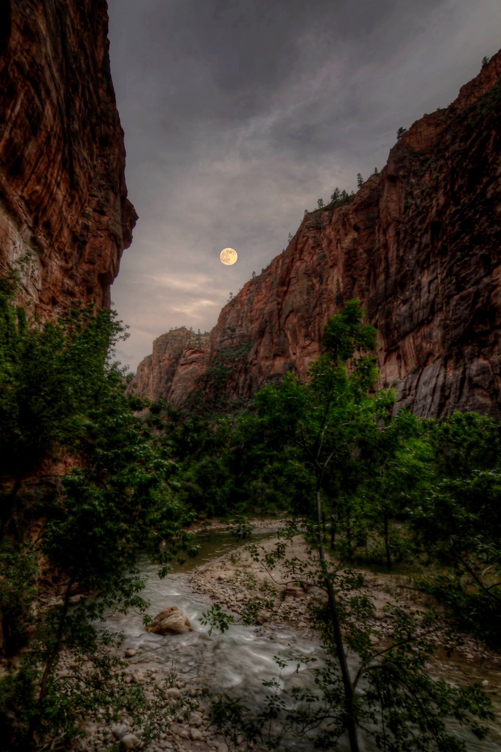 A full moon rising between the towering red sandstone walls of Zion's Temple of Sinawava, the Virgin River rushing below through summer cottonwoods