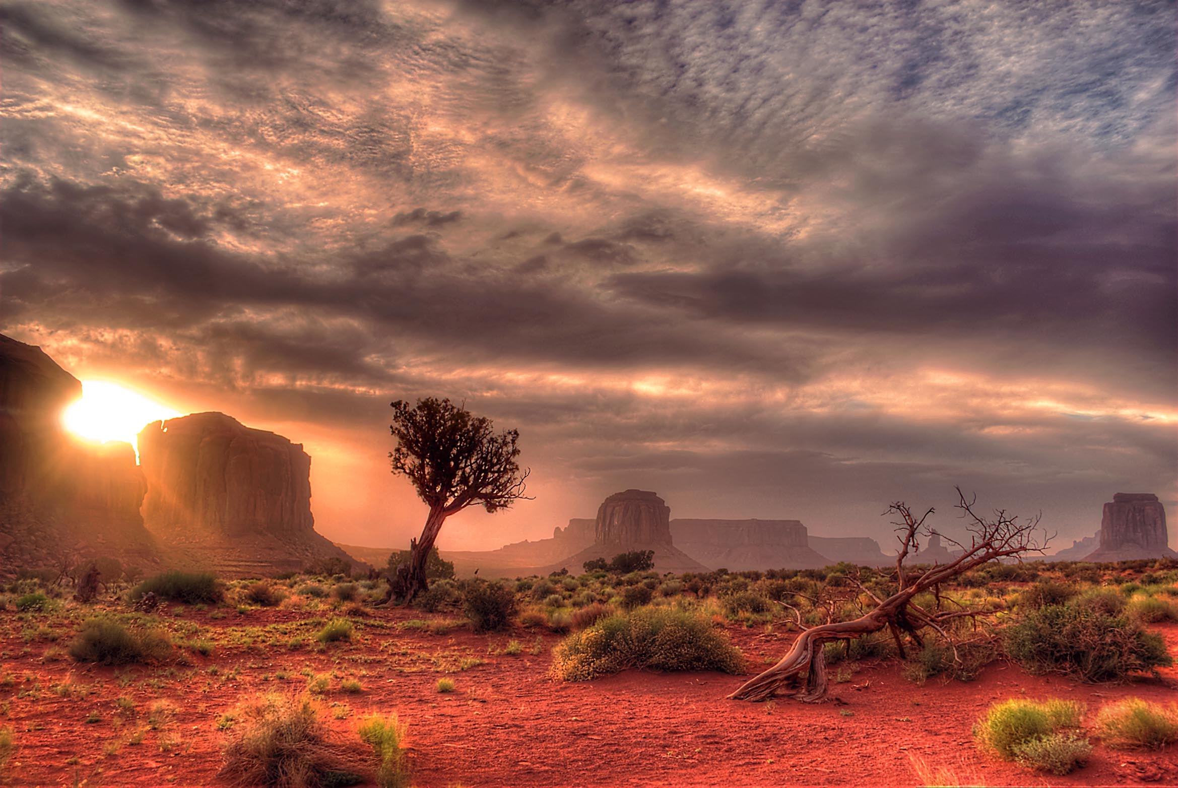 Sunset breaking through the buttes of Monument Valley, a lone juniper tree silhouetted against the blazing sky with red earth stretching to the horizon