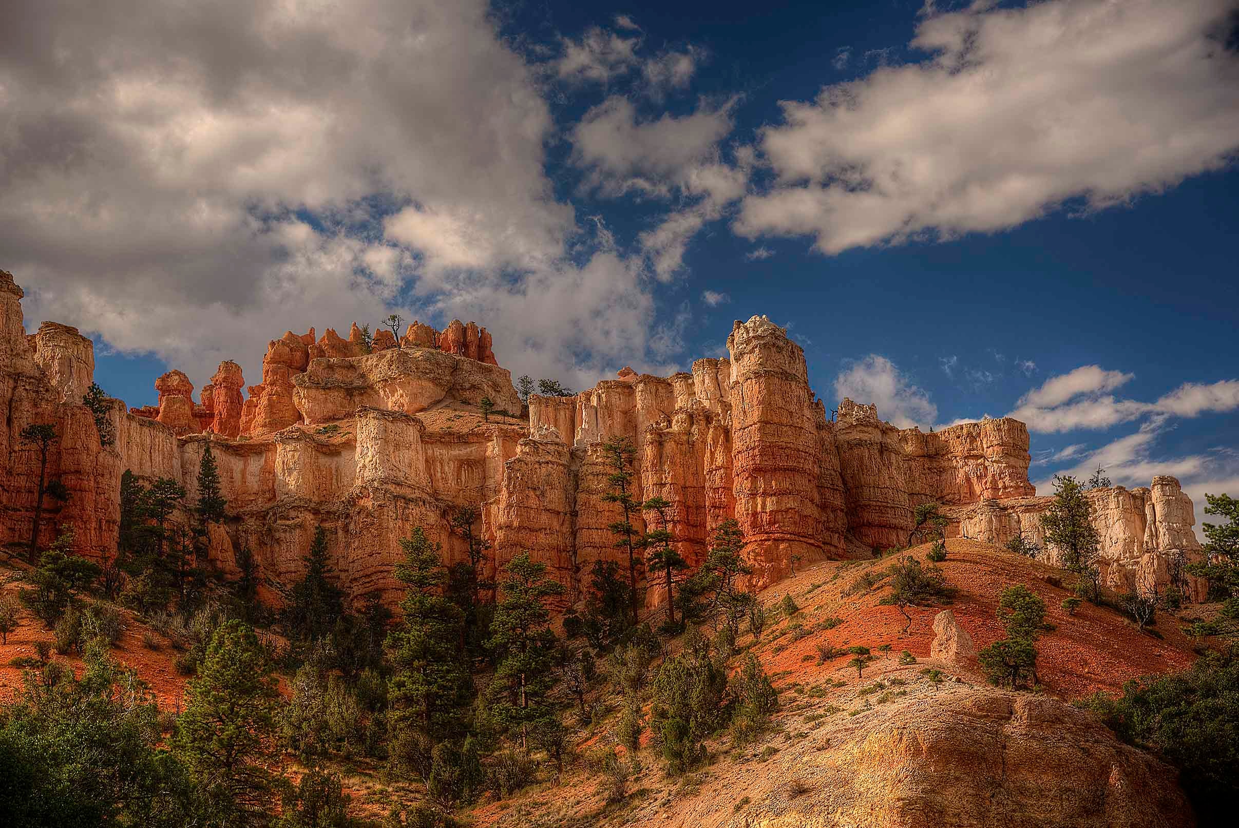 The Towers of Bryce — a sweeping wall of orange and cream hoodoos rising above a forest of ponderosa pines beneath a dramatic cloud-filled sky