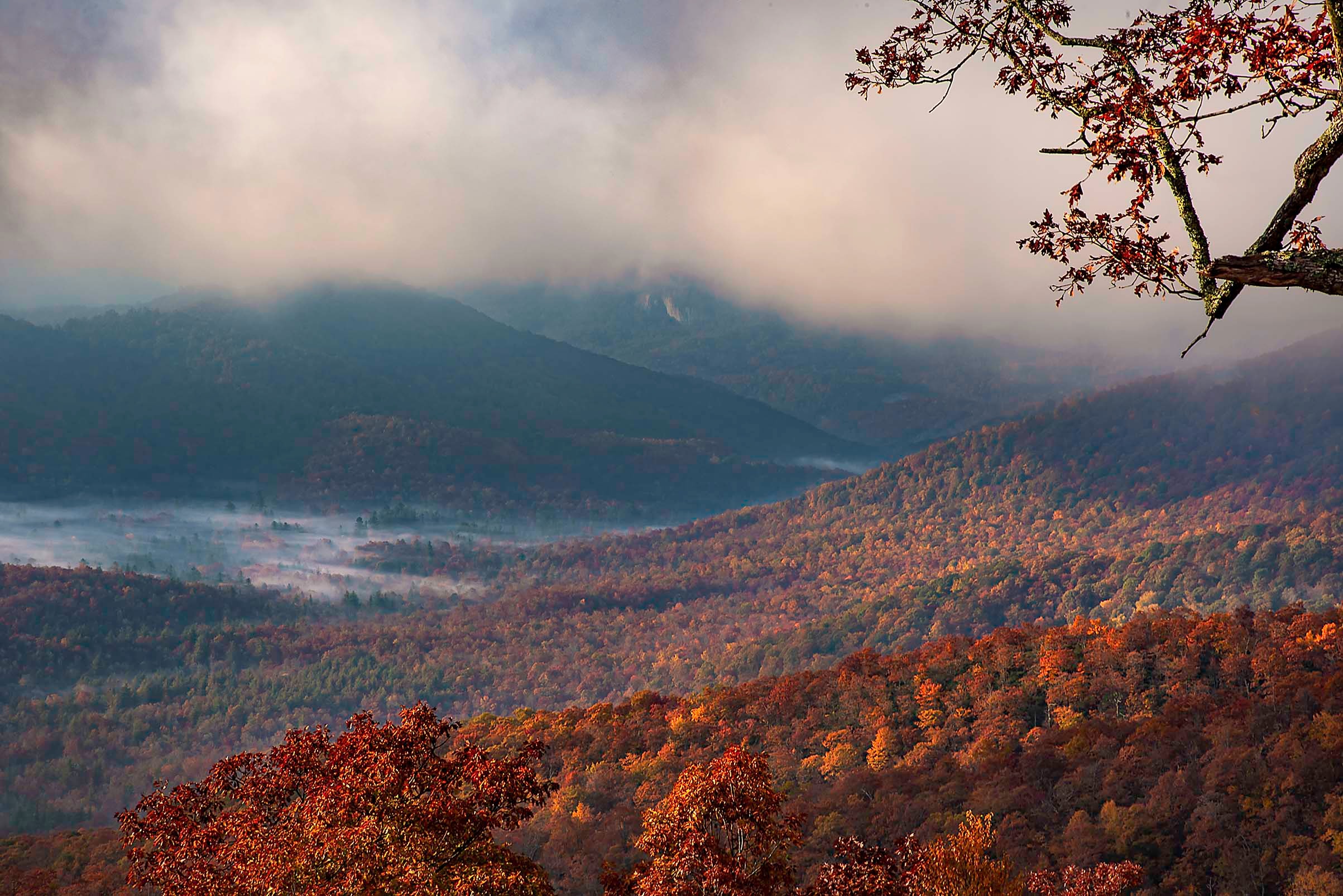 A sweeping view of Blue Ridge mountains ablaze in autumn color, mist threading through the valleys beneath a brooding sky