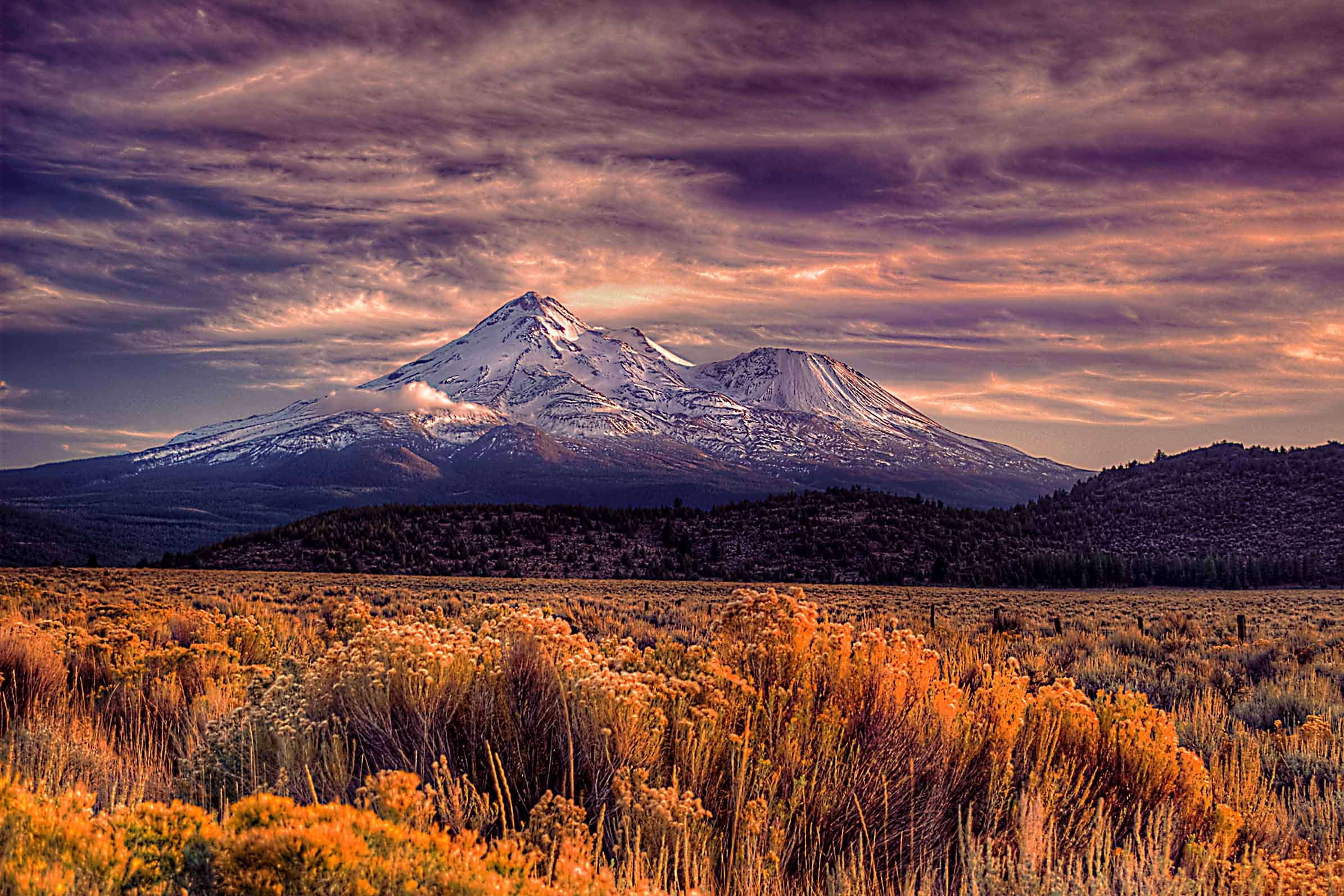 Mount Shasta's snow-capped peaks rising above golden sagebrush under a dramatic purple and orange sunset sky