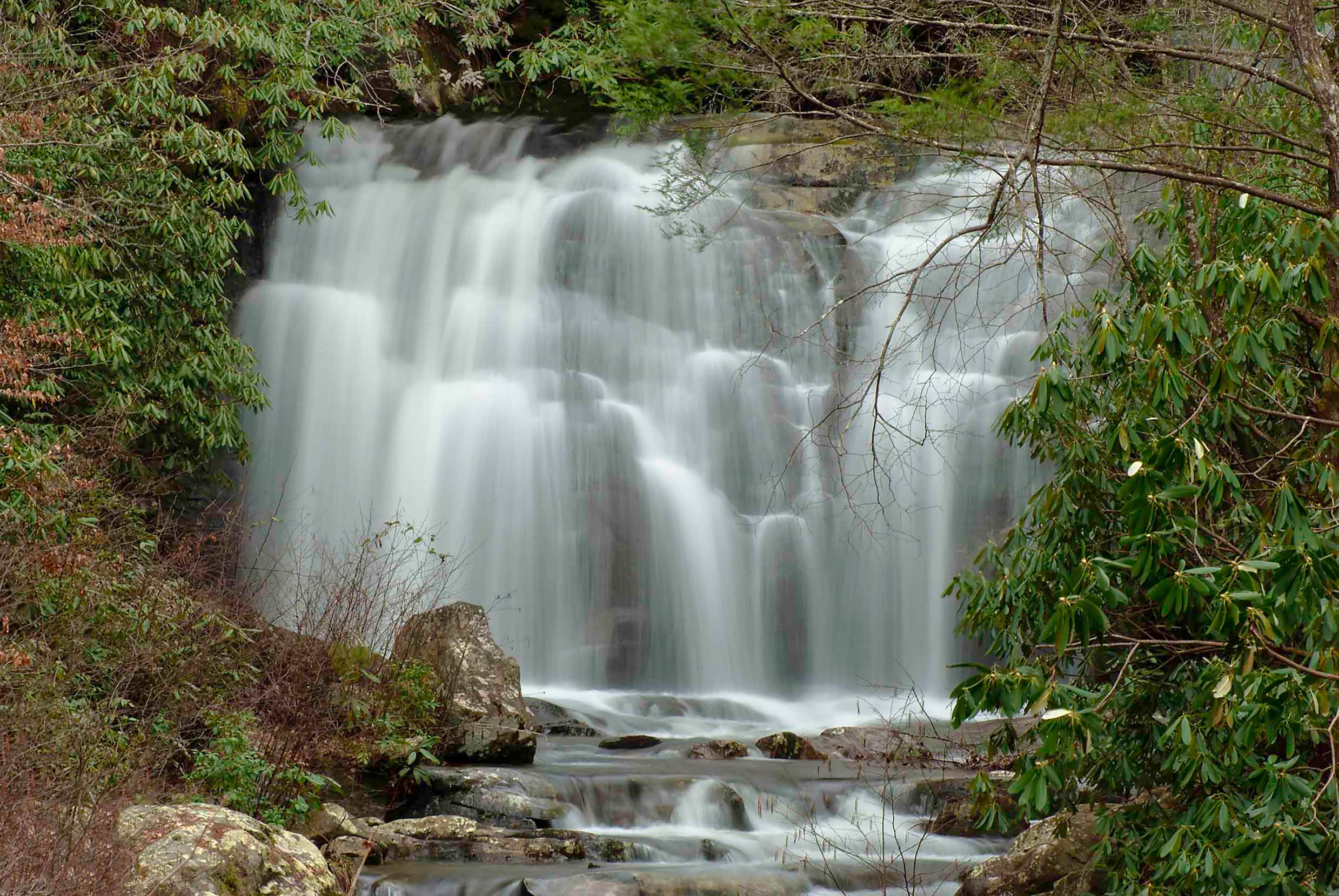 Meigs Falls pouring in a broad white curtain framed by rhododendron and bare winter branches