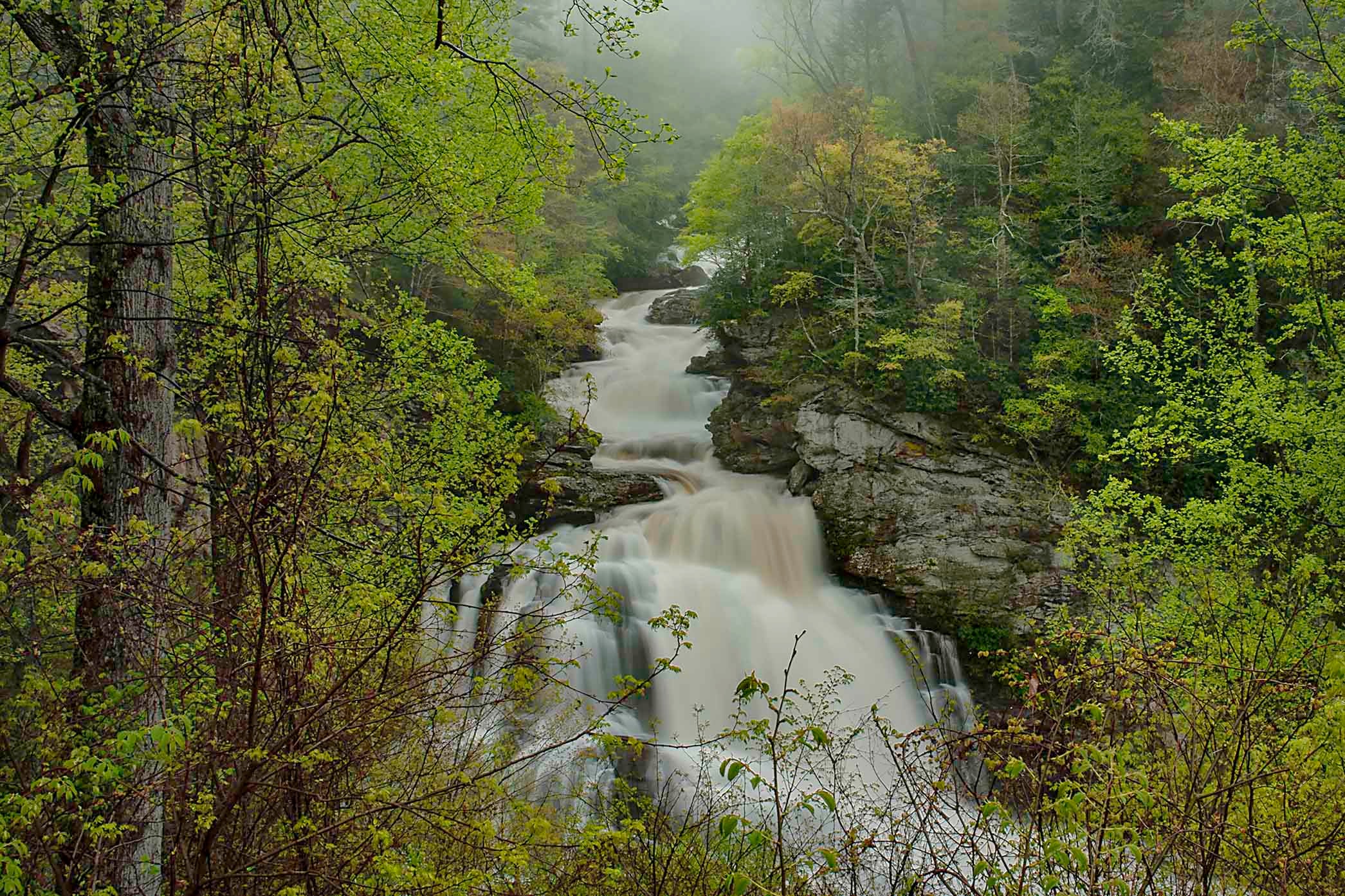 Cullasaja Falls rushing in a torrent through a misty spring forest gorge